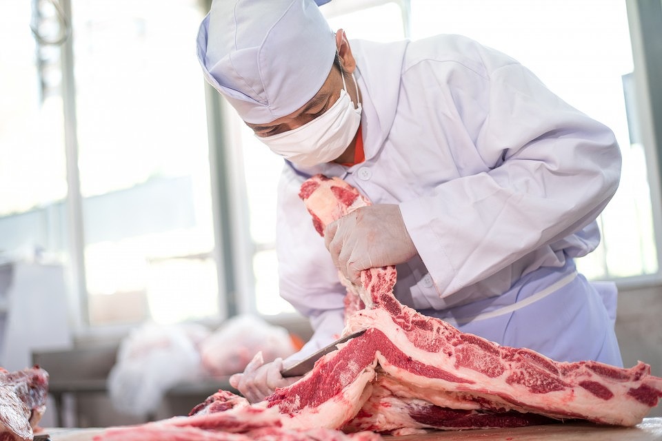 AdobeStock_216869361-960x640